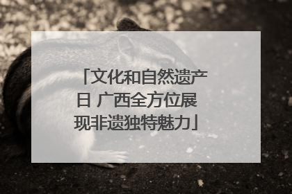 文化和自然遗产日 广西全方位展现非遗独特魅力