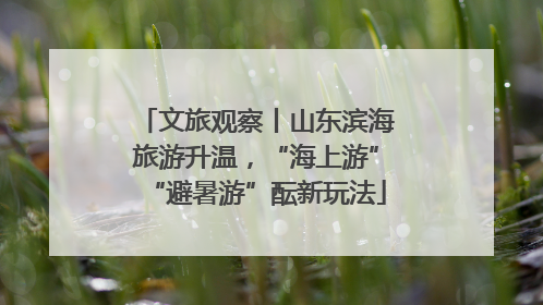 文旅观察丨山东滨海旅游升温，“海上游”“避暑游”酝新玩法