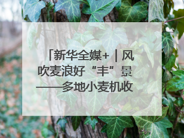 新华全媒+｜风吹麦浪好“丰”景——多地小麦机收一线见闻