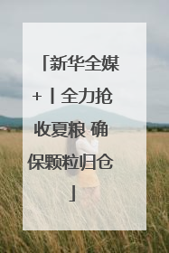 新华全媒+丨全力抢收夏粮 确保颗粒归仓