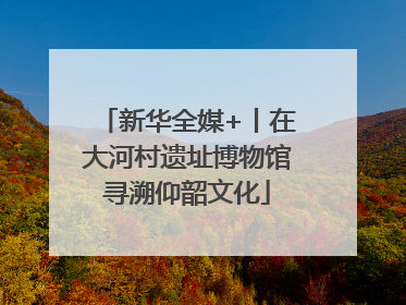 新华全媒+丨在大河村遗址博物馆寻溯仰韶文化