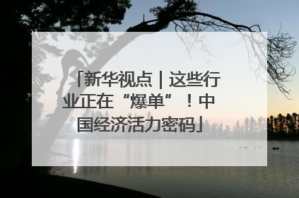 新华视点｜这些行业正在“爆单”！中国经济活力密码