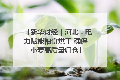 新华财经｜河北：电力赋能粮食烘干 确保小麦高质量归仓