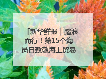 新华鲜报｜踏浪而行！第15个海员日致敬海上贸易“守护人”