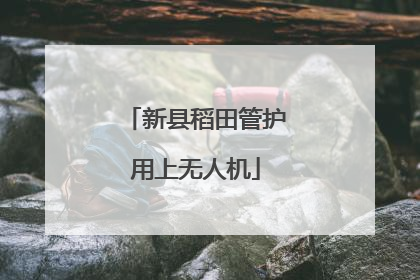 新县稻田管护用上无人机