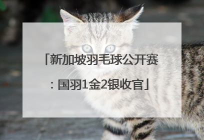 新加坡羽毛球公开赛：国羽1金2银收官