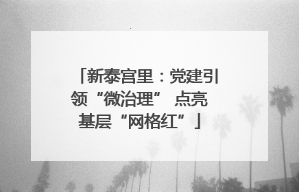 新泰宫里：党建引领“微治理” 点亮基层“网格红”