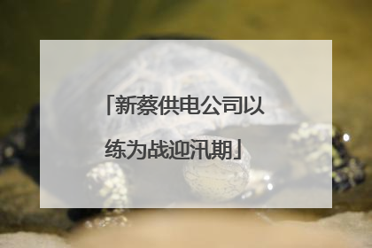 新蔡供电公司以练为战迎汛期