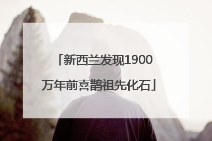 新西兰发现1900万年前喜鹊祖先化石