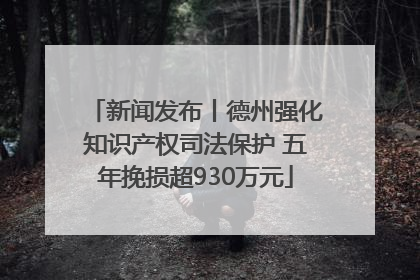 新闻发布丨德州强化知识产权司法保护 五年挽损超930万元