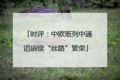 时评：中欧班列中通道赓续“丝路”繁荣