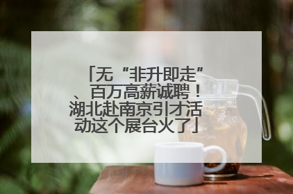 无“非升即走”、百万高薪诚聘！湖北赴南京引才活动这个展台火了