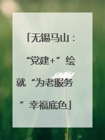 无锡马山：“党建+”绘就“为老服务”幸福底色