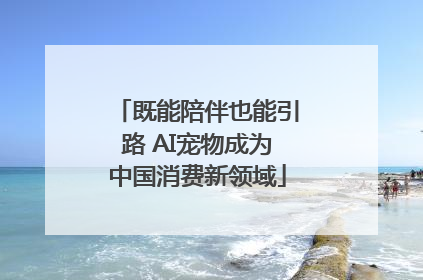 既能陪伴也能引路 AI宠物成为中国消费新领域