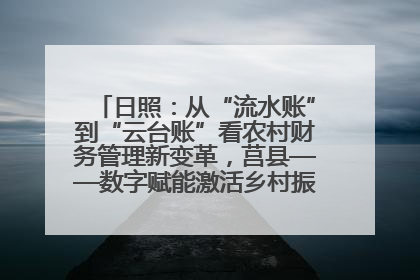 日照：从“流水账”到“云台账”看农村财务管理新变革，莒县——数字赋能激活乡村振兴“一池春水”