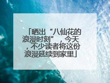 晒出“八仙花的浪漫时刻”，今天，不少读者将这份浪漫延续到家里