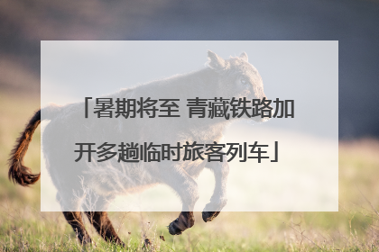 暑期将至 青藏铁路加开多趟临时旅客列车