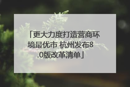 更大力度打造营商环境最优市 杭州发布8.0版改革清单