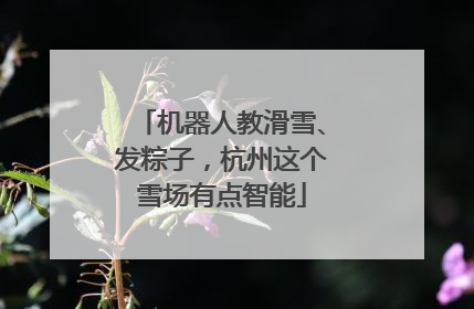 机器人教滑雪、发粽子，杭州这个雪场有点智能