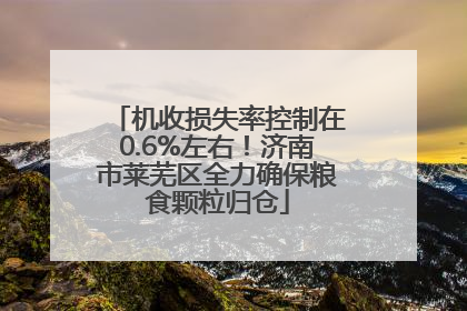 机收损失率控制在0.6%左右！济南市莱芜区全力确保粮食颗粒归仓