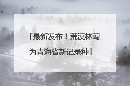 最新发布！荒漠林莺为青海省新记录种