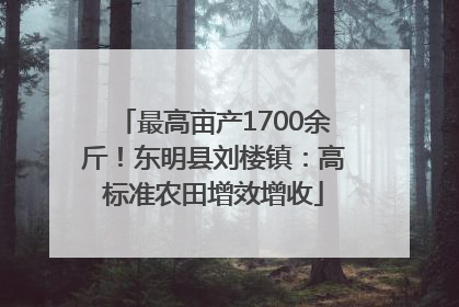 最高亩产1700余斤！东明县刘楼镇：高标准农田增效增收