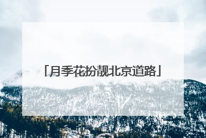 月季花扮靓北京道路