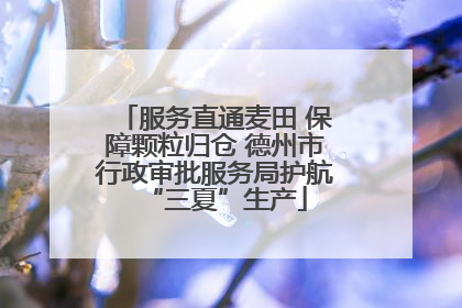 服务直通麦田 保障颗粒归仓 德州市行政审批服务局护航“三夏”生产