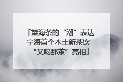 望海茶的“潮”表达 宁海首个本土新茶饮“又喝那茶”亮相