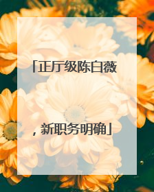正厅级陈白薇，新职务明确