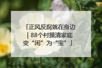 正风反腐就在身边｜88个村摸清家底变“闲”为“宝”