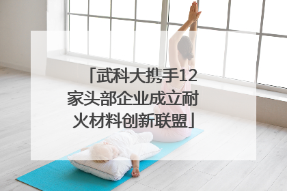 武科大携手12家头部企业成立耐火材料创新联盟