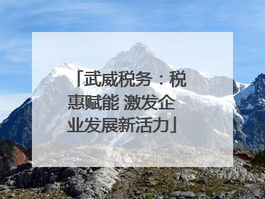 武威税务：税惠赋能 激发企业发展新活力