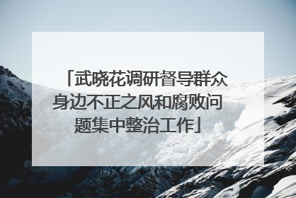 武晓花调研督导群众身边不正之风和腐败问题集中整治工作