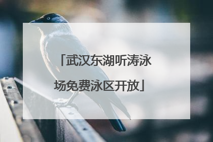 武汉东湖听涛泳场免费泳区开放
