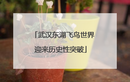 武汉东湖飞鸟世界迎来历史性突破