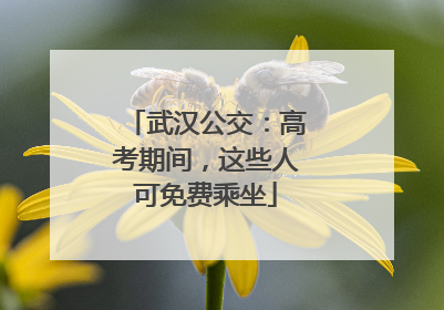 武汉公交：高考期间，这些人可免费乘坐
