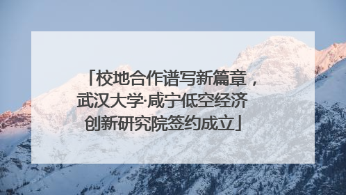 校地合作谱写新篇章，武汉大学·咸宁低空经济创新研究院签约成立