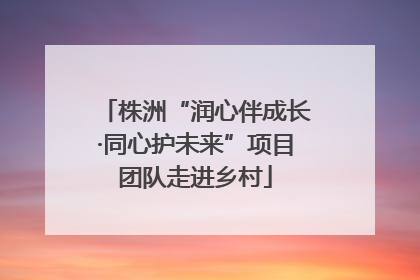 株洲“润心伴成长·同心护未来”项目团队走进乡村