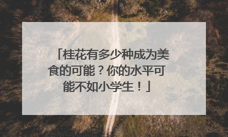 桂花有多少种成为美食的可能？你的水平可能不如小学生！