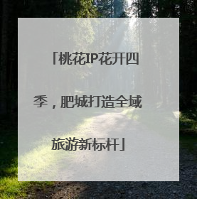 桃花IP花开四季，肥城打造全域旅游新标杆