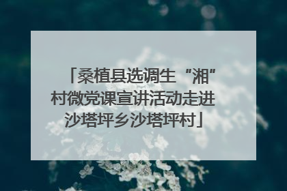桑植县选调生“湘”村微党课宣讲活动走进沙塔坪乡沙塔坪村