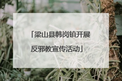 梁山县韩岗镇开展反邪教宣传活动