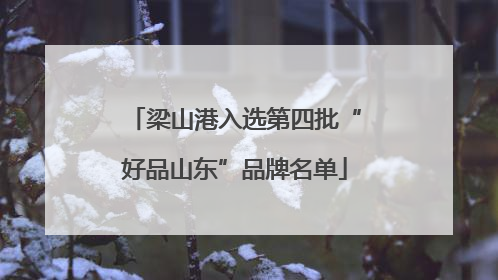 梁山港入选第四批“好品山东”品牌名单