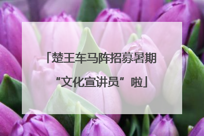 楚王车马阵招募暑期“文化宣讲员”啦