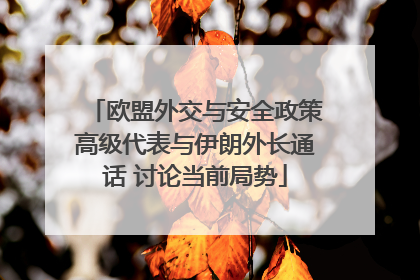 欧盟外交与安全政策高级代表与伊朗外长通话 讨论当前局势