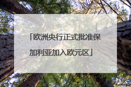 欧洲央行正式批准保加利亚加入欧元区