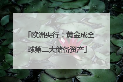 欧洲央行：黄金成全球第二大储备资产