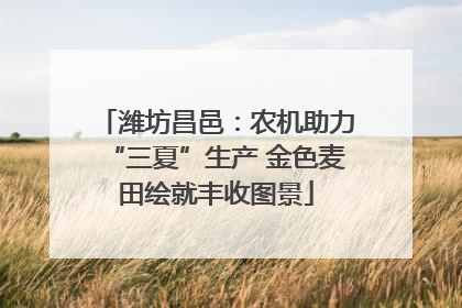 潍坊昌邑：农机助力“三夏”生产 金色麦田绘就丰收图景