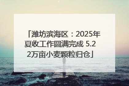 潍坊滨海区：2025年夏收工作圆满完成 5.22万亩小麦颗粒归仓
